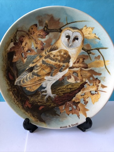 Barn owl coalport plate by - owl,