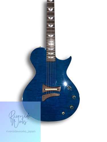 Fernandes burny lsa - fernandes,