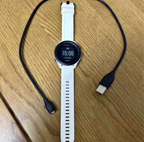 Garmin golf watch - garmin,