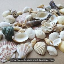 Mixed Beach Sea Shells Natural