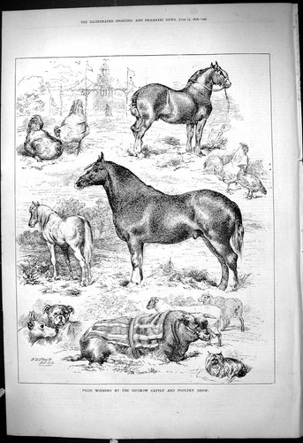Old antique print prize - old,