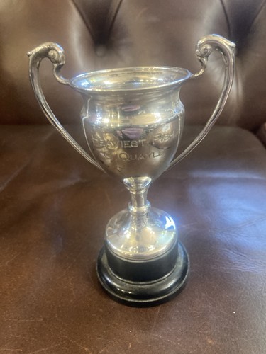 Vintage heaviest fish trophy - vintage.,