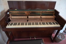 Kemble Miniature Minx Walnut