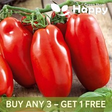 TOMATO SCATOLONE 3 - 80 SEEDS