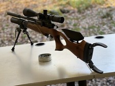 Bsa r10th air rifle butt - butt, hook