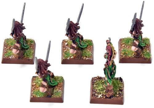 Wood elves wardancer 1 - wood, 5