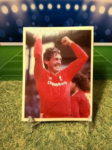 Daily mirror 1986 sticker - mirror,