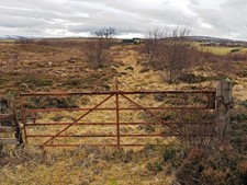 Photo A1 Ornate estate gate