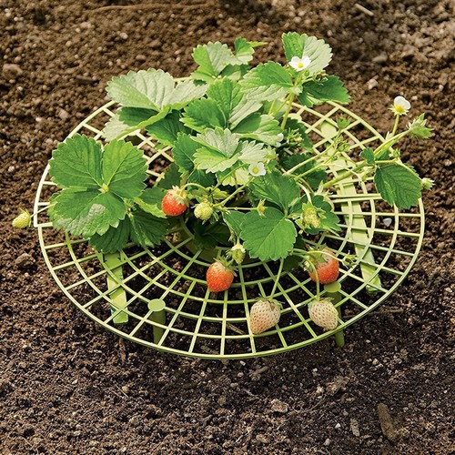 Pcs garden climbing pergola - 6,