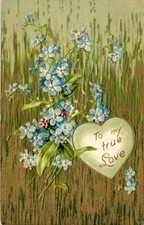 1908 Forget-Me-Not "To My True
