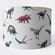 Children's Boy's Dinosaur