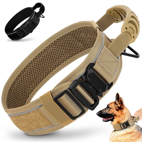 Durable dog collar with - collar,