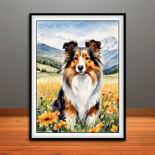 Sheltie shetland sheepdog - -,