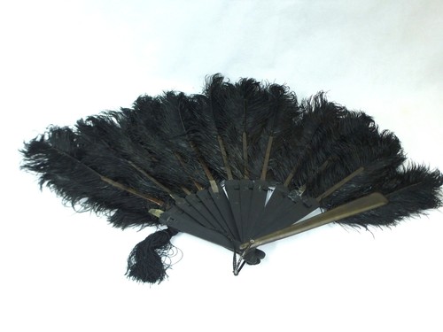 Large fan feather - large,