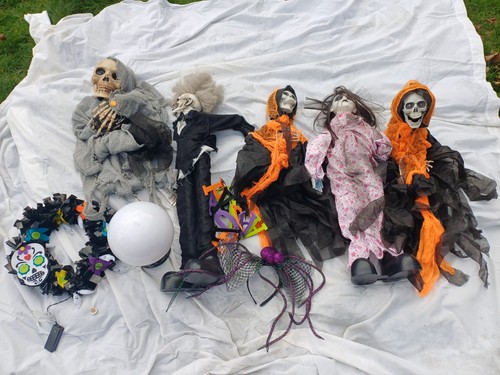 Job lot halloween items spider - halloween,