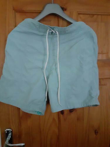 Mens speedo swim shorts - speedo,
