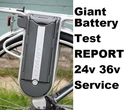 Giant electric bike battery - ,