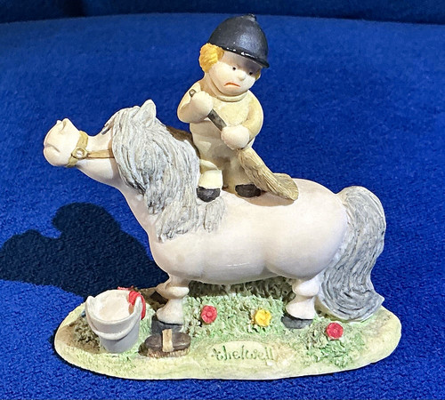 Thelwell ponies groom daily - thelwell, daily'