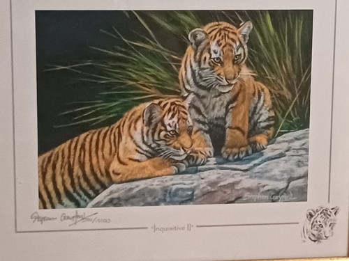 Signed limited edition - limited,
