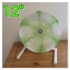 12" AFRICAN PYGMY HEDGEHOG