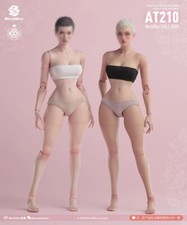 Worldbox AT210 1/6 Scale