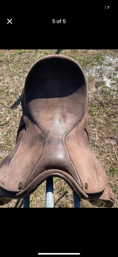 Fylde marjorie show saddle - marjorie,