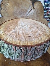 16" (40cm) Rustic Log slice x