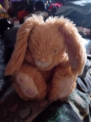 Keel toys bunny - keel, plush