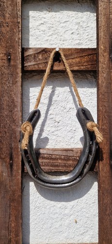 Rustic lucky horseshoe - rustic,