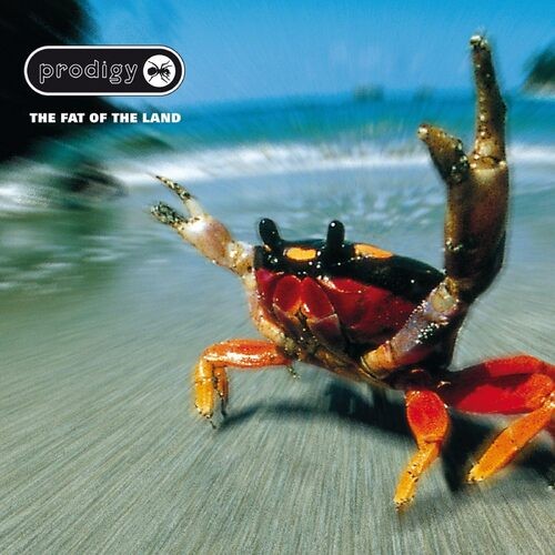 The prodigy fat - prodigy,