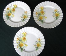 Royal Albert Daffodil Side