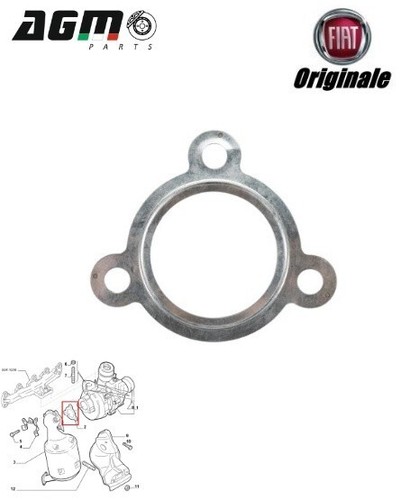 Genuine lancia musa - genuine,