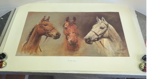 Three kings horse print - kings,