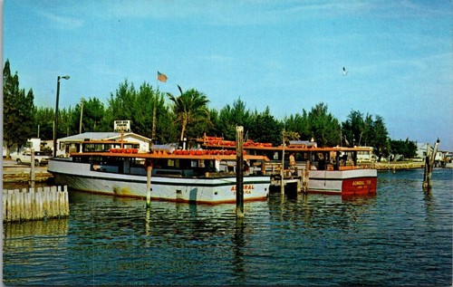 Postcard deep sea - postcard, fishing