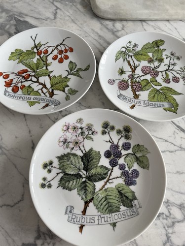 Collectible plates kaiser - ,
