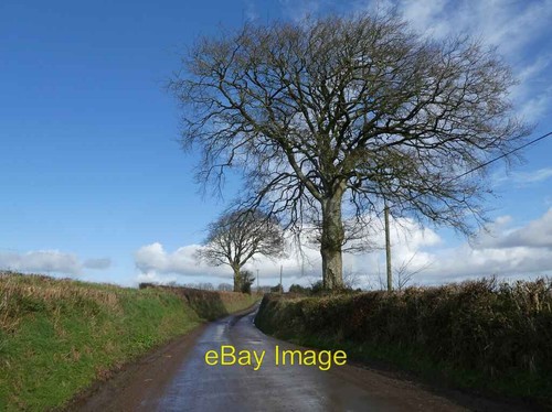 Photo 6x4 minor - photo,