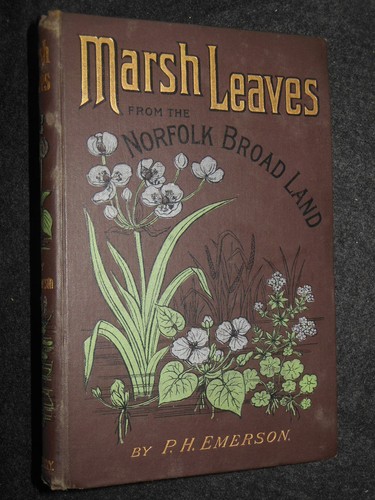 Emerson marsh leaves - emerson,