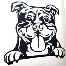 1x XL Bully Dog Decal Vinyl