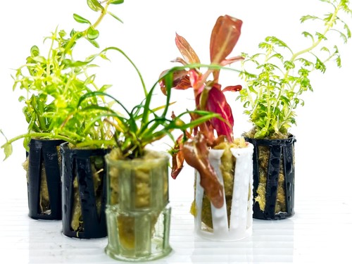 Tropical live aquarium - 20,