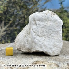 Lower chalk teaching rock