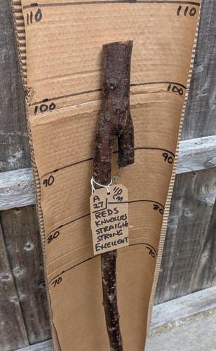 Blackthorn walking stick - blackthorn,