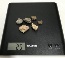 TRICERATOPS DINOSAUR BONE