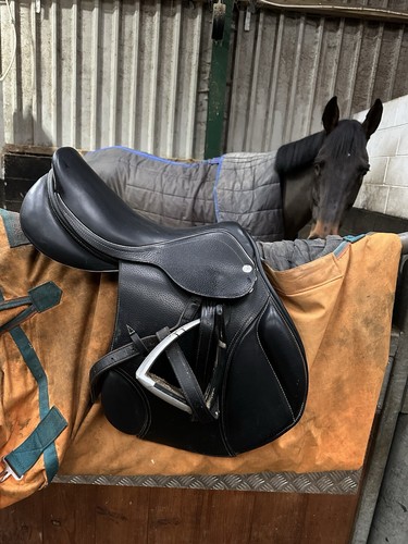 Zaldi eventing saddle - zaldi,