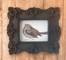 Robin bird watercolor art