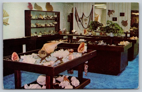 Shell world oxnard vintage - ca,