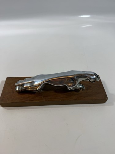 Vintage jaguar hood - vintage,