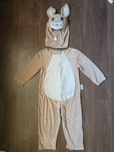 Peter rabbit fancy - fancy, dress
