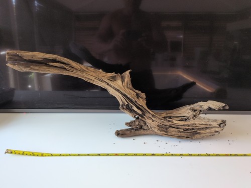 Extra large 2ft aquarium - 2ft,