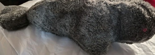 Baby seal cuddly - seal, good