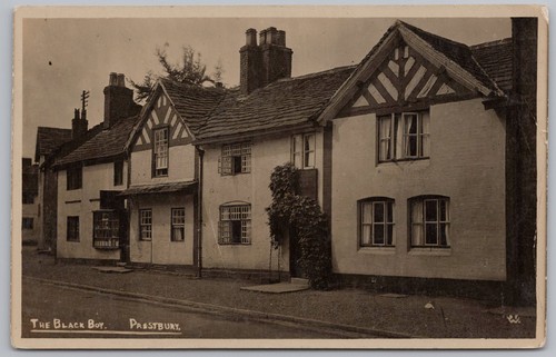 Prestbury the black - black, boy